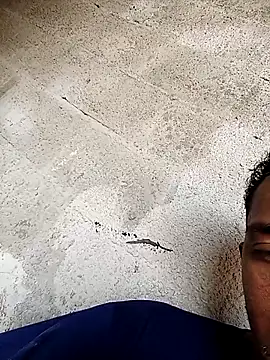 Snapshot of negopreto_ chatting on February 24, 2026, 7:37 pm negopreto online show from February 24, 2026, 7:37 pm