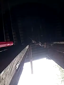 Snapshot of giang7711 chatting on March 2, 2026, 5:08 am giang7711 online show from March 2, 2026, 5:08 am