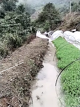 ngocbao11 online show from March 12, 2026, 1:11 am