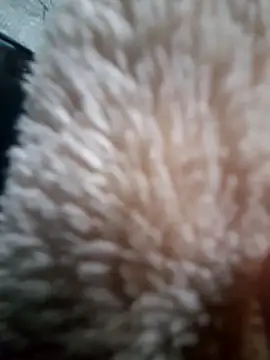 iambesting online show from February 28, 2026, 11:21 am