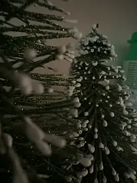 sexysou online show from April 9, 2026, 1:06 pm