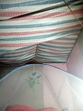 Susu-bae online show from February 25, 2026, 2:34 am