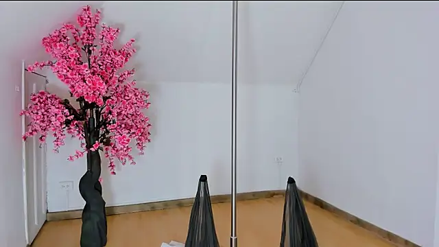 Calioperoux online show from April 9, 2026, 10:16 pm