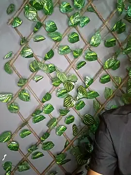 Snapshot of Breezehun chatting on March 3, 2026, 11:01 pm Breezehun online show from March 3, 2026, 11:01 pm