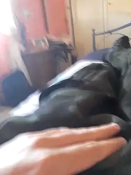 ilcazzone32 online show from April 19, 2026, 2:07 pm