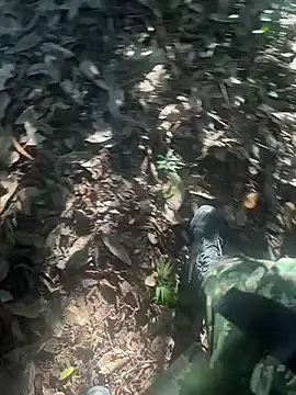 bibedro online show from February 28, 2026, 9:14 pm