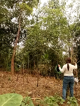 lyly sexx online show from March 28, 2026, 1:06 am