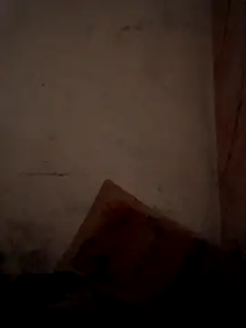 CoralN online show from April 1, 2026, 3:52 am