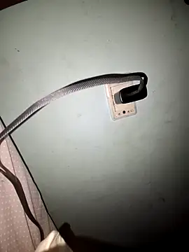 Snapshot of wolf297 chatting on February 28, 2026, 11:43 am wolf297 online show from February 28, 2026, 11:43 am