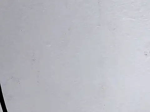 Snapshot of Cute_Mango1 chatting on February 28, 2026, 4:17 pm Cute Mango1 online show from February 28, 2026, 4:17 pm