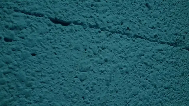 LYNN N SAMUEL online show from April 13, 2026, 11:09 pm