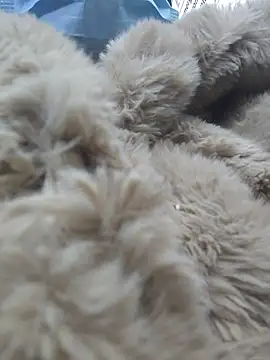 Naomimolie online show from April 15, 2026, 11:27 am