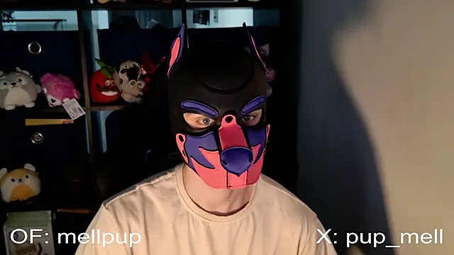 Snapshot of MellPUP chatting on June 25, 2026, 1:05 pm MellPUP online show from June 25, 2026, 1:05 pm