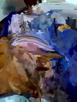 Snapshot of PgL_43 chatting on March 3, 2026, 11:17 am PgL 43 online show from March 3, 2026, 11:17 am