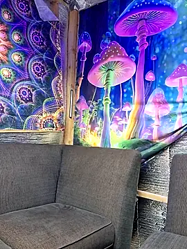 drednasty online show from March 31, 2026, 12:01 am