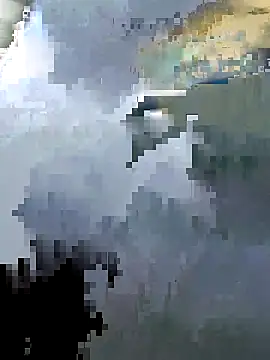 Jade rous online show from May 15, 2026, 11:41 am