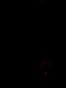 Snapshot of tordilho69RS chatting on March 5, 2026, 4:20 am tordilho69RS online show from March 5, 2026, 4:20 am