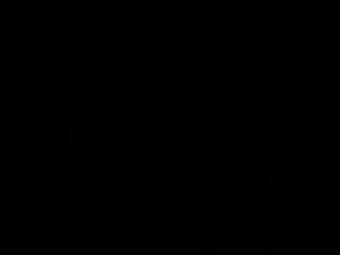 JANVI 06 online show from March 15, 2026, 3:02 am