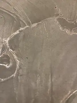 sharks90 online show from April 9, 2026, 3:08 am