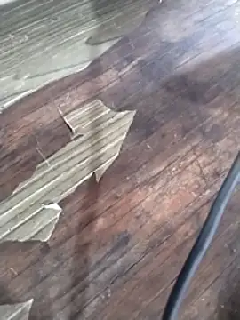 crisgoems online show from March 15, 2026, 5:09 pm