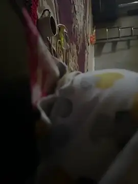 mohamed2113 online show from April 17, 2026, 12:30 pm