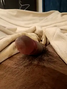 abel-3010 online show from April 22, 2026, 5:25 am