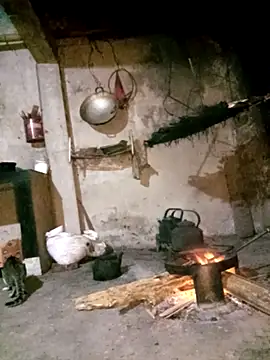 Bling-pusy online show from April 2, 2026, 9:54 pm