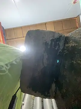 Anaya10 01 online show from April 14, 2026, 6:40 am