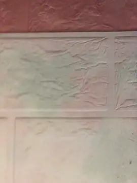 Anaya10 01 online show from March 21, 2026, 3:05 pm