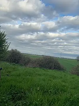 SoftAmjad online show from April 4, 2026, 4:46 pm