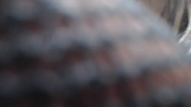 Britanylovee online show from March 27, 2026, 2:51 pm