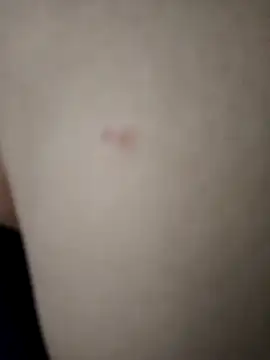 Amanda  ena- online show from April 11, 2026, 7:05 am