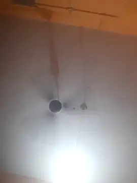 bodymassage455 online show from April 1, 2026, 1:12 pm