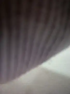 Dakota  LS online show from April 18, 2026, 6:43 pm