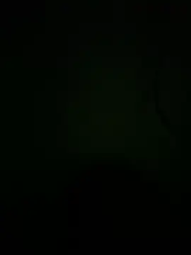 TeluguvillageBoy online show from March 29, 2026, 4:41 pm