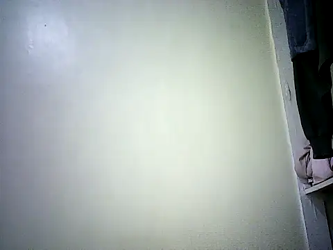 PrimBee online show from March 20, 2026, 8:48 am