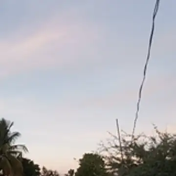 hotwife   br online show from April 9, 2026, 8:37 pm