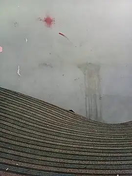 School teacher12 online show from April 17, 2026, 3:48 pm