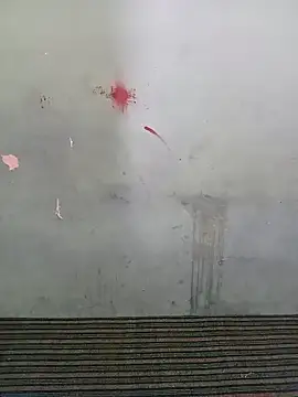 School teacher12 online show from March 28, 2026, 6:36 am