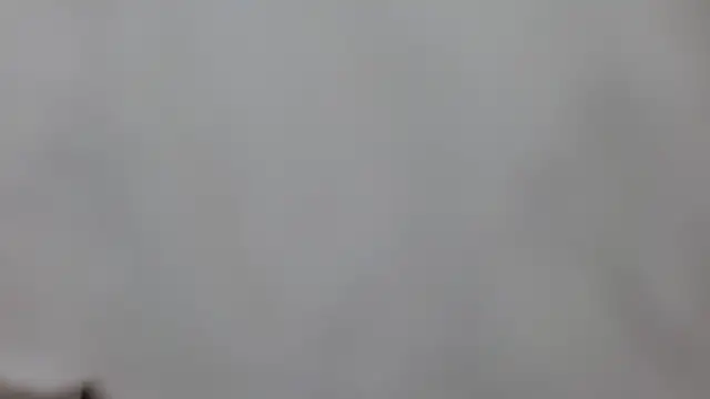 sweet afparty online show from April 15, 2026, 6:56 pm