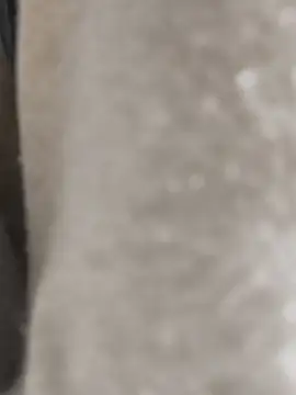 Enmy 24 online show from March 17, 2026, 4:15 am