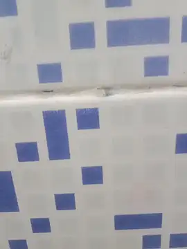 diljaan51 online show from March 24, 2026, 2:00 am