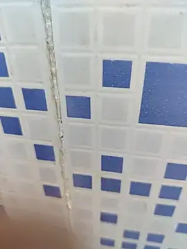 diljaan51 online show from March 28, 2026, 2:12 am