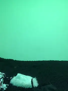 -Jack Zoe- online show from April 14, 2026, 12:54 pm