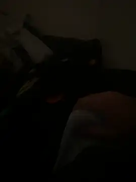 yassineamri online show from March 28, 2026, 1:23 pm