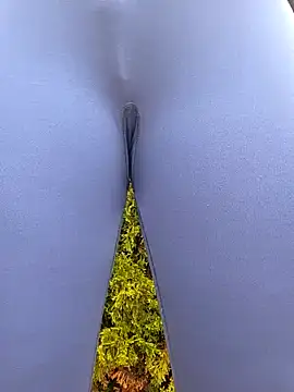 SellenaGomez online show from March 29, 2026, 11:56 am