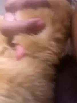 Bigcock127 online show from March 23, 2026, 4:29 pm