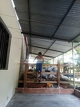 Abel-09x online show from April 12, 2026, 11:35 am