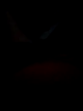 B S0051 online show from April 10, 2026, 8:16 pm