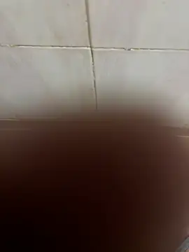 SingleBoy66666 online show from April 6, 2026, 6:47 am